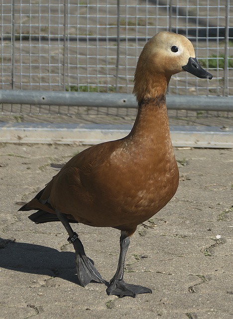 度以及场上