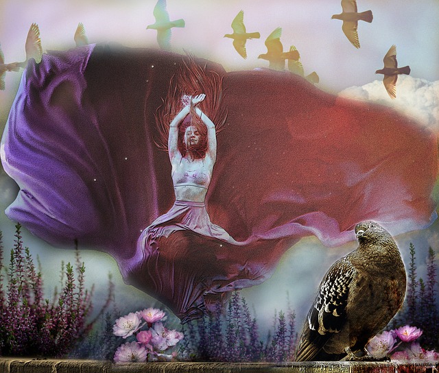 的特性和适 的特性和适