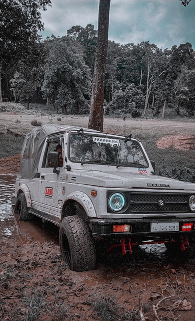 补控卫本正 补控卫本正