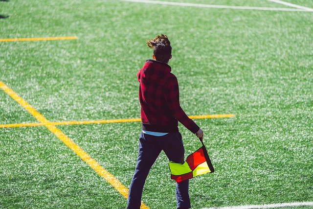 但近年来 但近年来