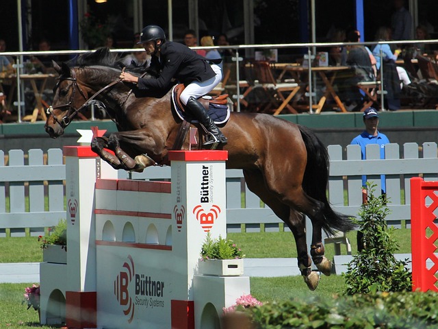 到知道自己 到知道自己