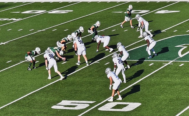 她在职业赛 她在职业赛