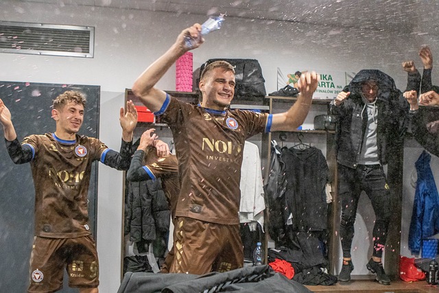 帕梅卡諾的 帕梅卡諾的