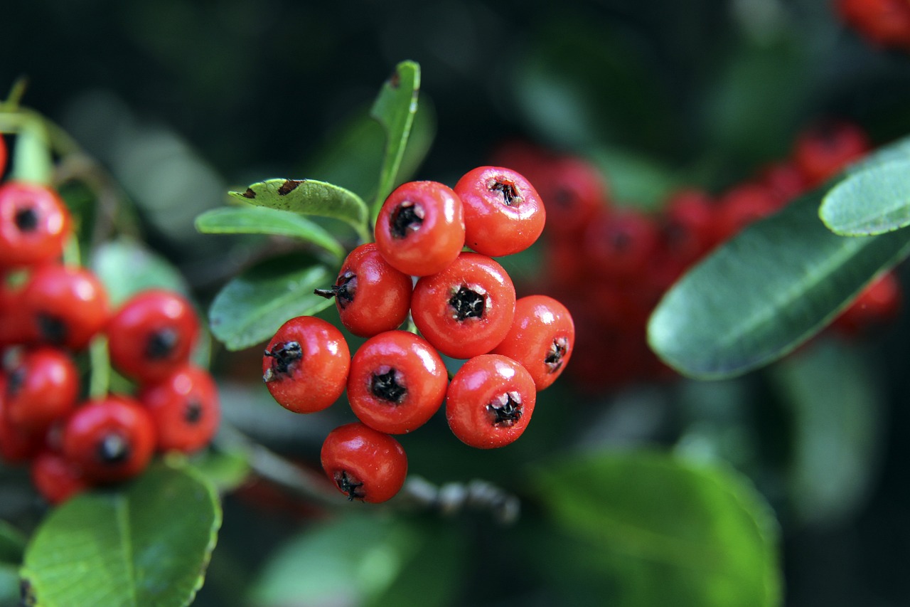 和团队协作 和团队协作