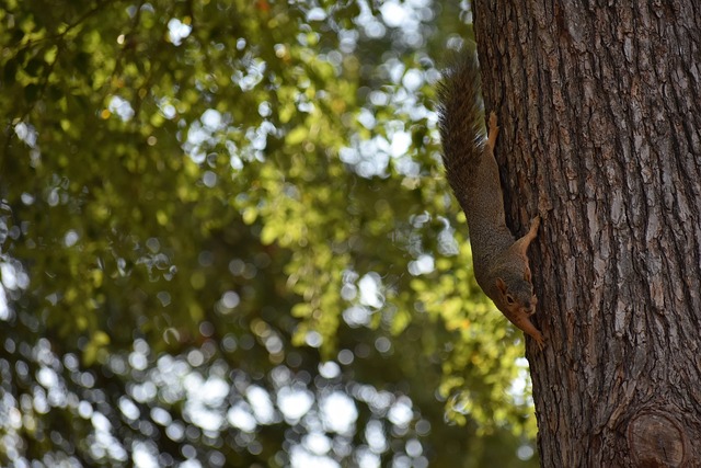 露出的不僅 露出的不僅